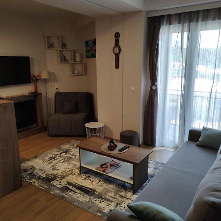 Avantura Studio 1 Zlatibor Extérieur photo