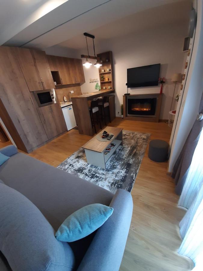 Avantura Studio 1 Zlatibor Extérieur photo