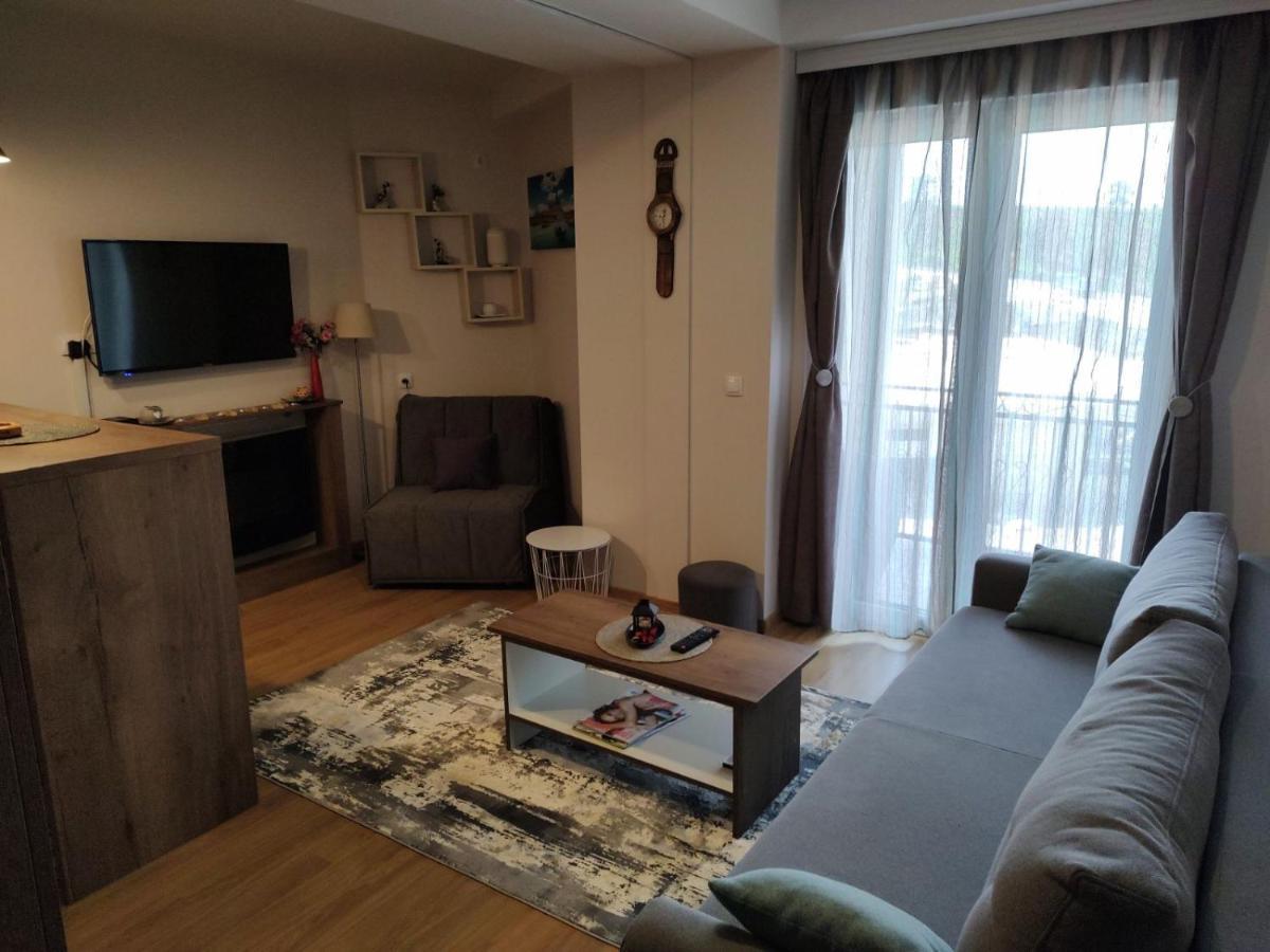 Avantura Studio 1 Zlatibor Extérieur photo